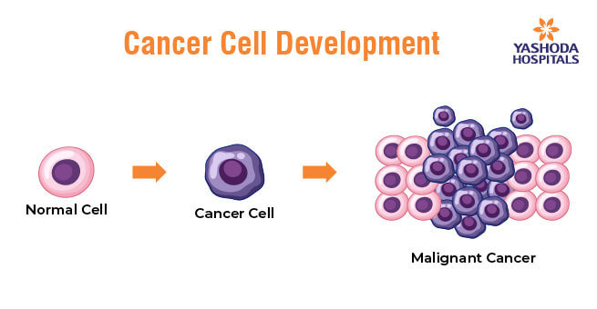 Demystifying The Complexities Of Cancer A Comprehensive Awareness Guide_Body 1