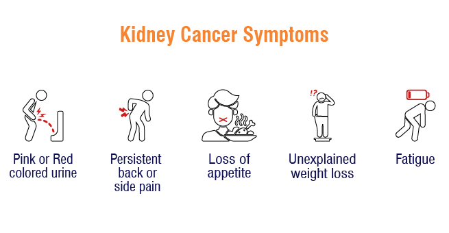 Kidney Cancer_Body 1