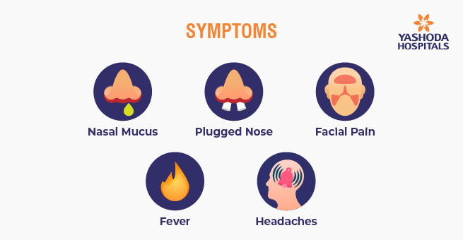 Understanding Rhinosinusitis2